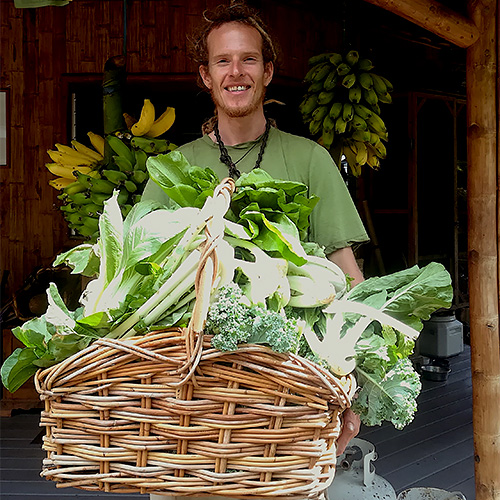 basket of veggies1