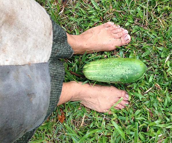 feet and cuke2